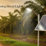 Self Cleaning Street Light Palm Oil